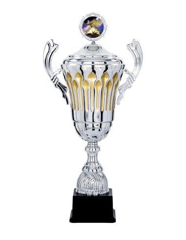 Coupe Prestige Métal avec couvercle - 63 cm - Argent / Or - Réf FSP-6914WS20C