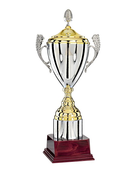 Coupe Argent / Or - 57 cm - Réf FSP-7741WG16C