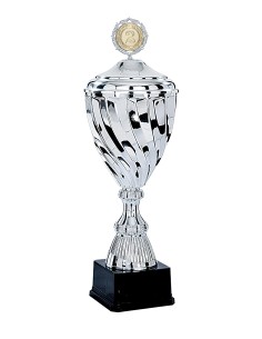 Coupe Premium Métal avec couvercle - 51 cm - Tout Argent - Réf FSP-4465WS18C