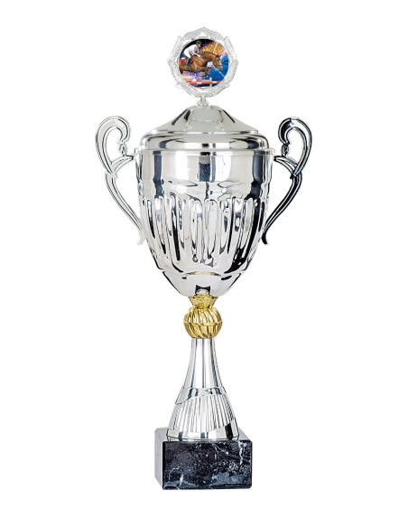 Coupe Classique Métal avec couvercle - 54 cm - Argent / Or - Réf FSP-5785WS18C