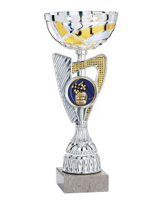 Coupe Argent / Or - 33 cm - Réf FSP-1954C