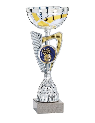 Coupe Argent / Or - 33 cm - Réf FSP-1954C