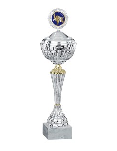 Coupe Économique Métal avec couvercle - 38 cm - Argent / Or - Réf FSP-1825WS10C