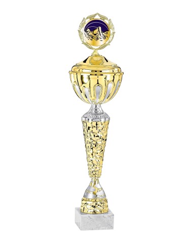 Coupe Économique Métal avec couvercle - 48 cm - Or / Argent Mat - Réf FSP-2285WG14C
