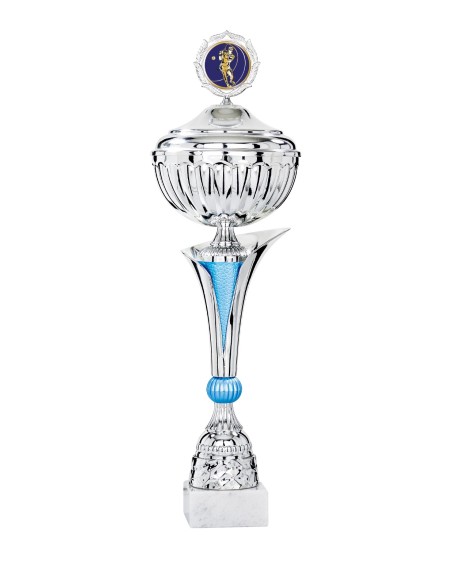 Coupe Économique Métal avec couvercle - 51 cm - Argent / Bleu - Réf FSP-3275WS16C