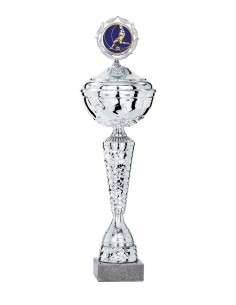 Coupe Économique Métal avec couvercle - 47 cm - Argent - Réf FSP-1985WS14C