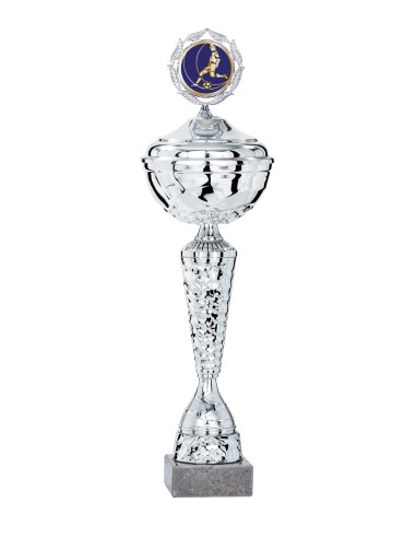 Coupe Économique Métal avec couvercle - 47 cm - Argent - Réf FSP-1985WS14C