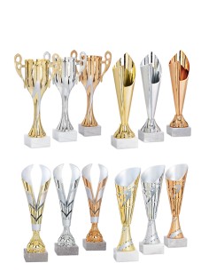 Lot de 12 coupes 2026 hauteur moyenne 27,8 cm | Récompense de Qualité !