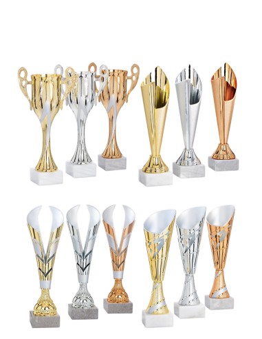 Lot de 12 coupes 2026 hauteur moyenne 27,8 cm | Récompense de Qualité !
