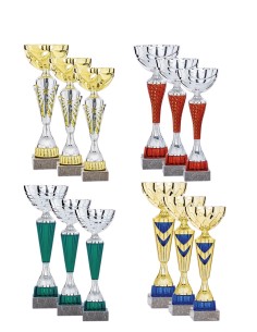 Lot de 12 coupes 2026 hauteur moyenne 35 cm | Récompense de Qualité !