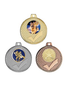 MÉDAILLE PERSONNALISABLE EN Ø MM. RÉF : Q-040 - FINITION OR-ARG-BRZ - RÉF FSP-Q-040