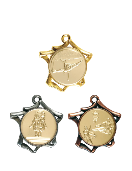 MÉDAILLE PERSONNALISABLE EN Ø70 MM. RÉF : F3 - FINITION OR-ARG-BRZ - RÉF FSP-F3