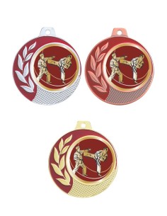 MEDAILLE 70MM 027D KARATE Or 3 couleurs