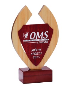 Trophée Bois Personnalisé - Réf FSP-152-41