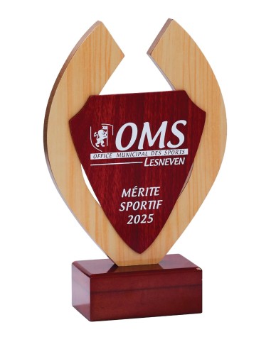 Trophée Bois Personnalisé - Réf FSP-152-41