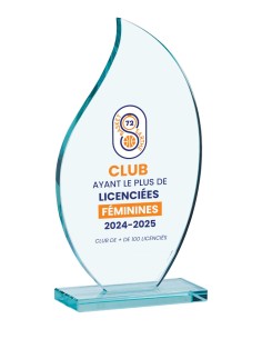 Trophée Verre et Bois Personnalisé - Réf FSP-153-13