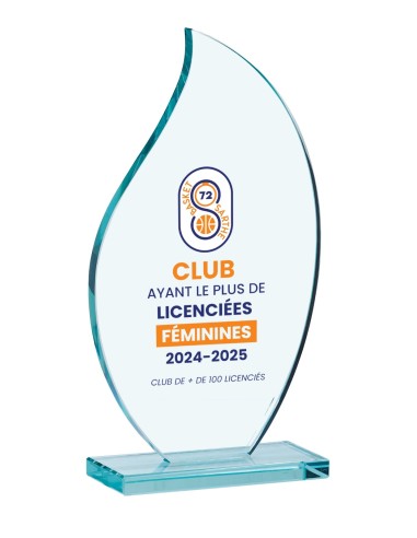 Trophée Verre et Bois Personnalisé - Réf FSP-153-13