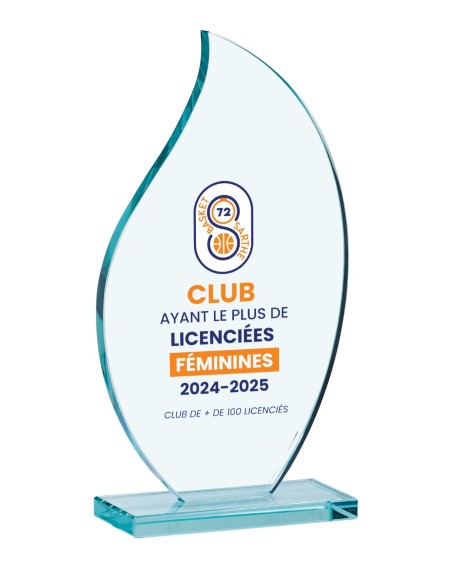 Trophée Verre et Bois Personnalisé - Réf FSP-153-13