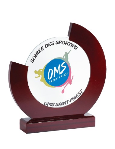 Trophée Verre et Bois Personnalisé - Réf FSP-153-81