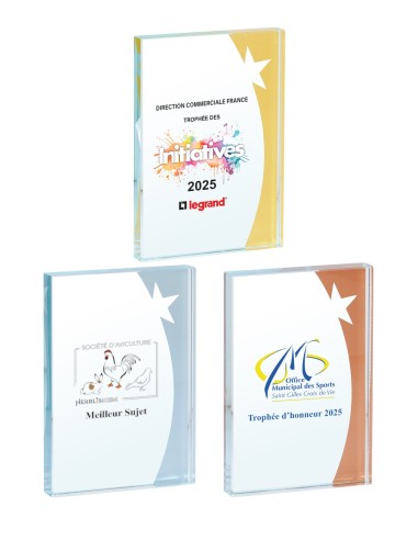 Trophée Verre Personnalisé - Réf FSP-154-13