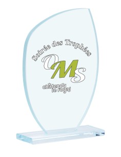 Trophée Verre Personnalisé - Réf FSP-154-21