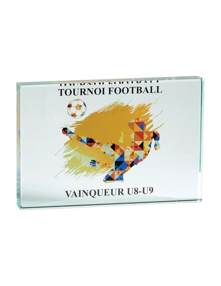 Trophée Verre Personnalisé - Réf FSP-155-21