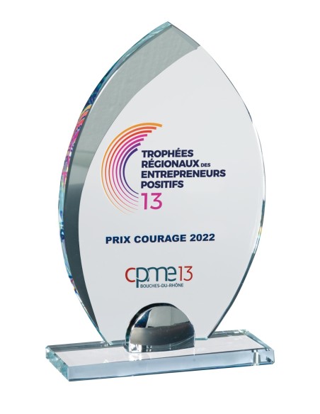 Trophée Verre Personnalisé - Réf FSP-155-61