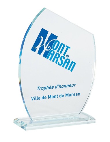 Trophée Verre Personnalisé - Réf FSP-156-11
