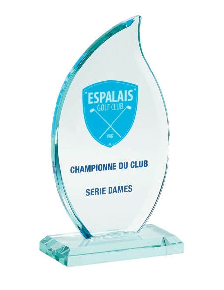 Trophée Verre Personnalisé - Réf FSP-156-71