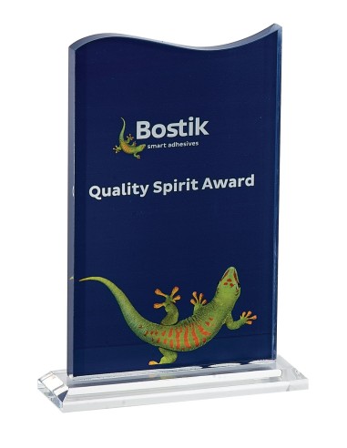 Trophée Plexi Personnalisé - Réf FSP-158-41