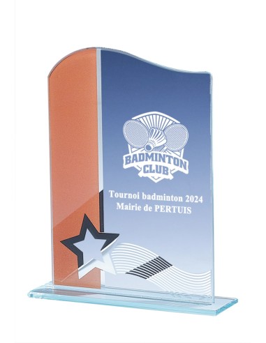 Trophée Verre Personnalisé - Réf FSP-161-51