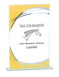Trophée Verre Personnalisé - Réf FSP-163-41