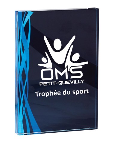 Trophée Verre Personnalisé - Réf FSP-165-21