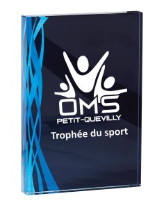 Trophée Verre Personnalisé - Réf FSP-165-23