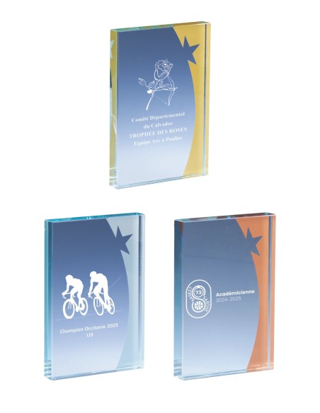 Trophée Verre Personnalisé - Réf FSP-168-33