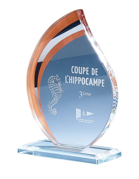 Trophée Verre Personnalisé - Réf FSP-170-01