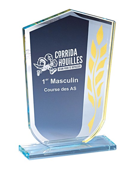 Trophée Verre Personnalisé - Réf FSP-171-01