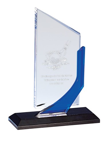 Trophée Plexi Personnalisé - Réf FSP-179-12
