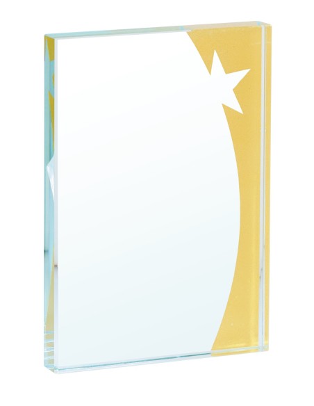 Trophée Verre Personnalisé - Réf FSP-154-13