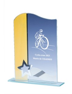 Trophée Verre Personnalisé - Réf FSP-161-53