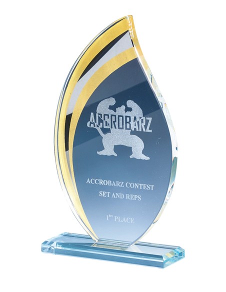 Trophée Verre Personnalisé - Réf FSP-170-03