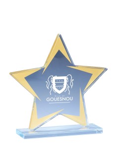 Trophée verre étoile or personnalisé - Réf FSP-173-03
