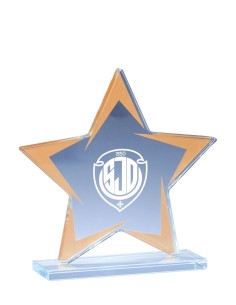 Trophée verre étoile bronze personnalisé - Réf FSP-173-01