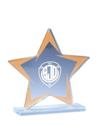 Trophée verre étoile bronze personnalisé - Réf FSP-173-01