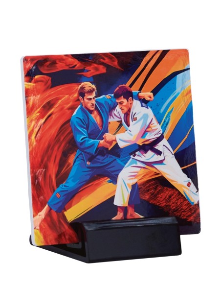 Trophée Céramique Judo - Réf FSP-47504
