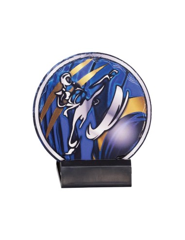 Trophée Disco Céramique : Taekwondo - Réf FSP-48113