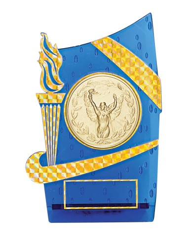 Trophée Personnalisé - Réf FSP-133-13