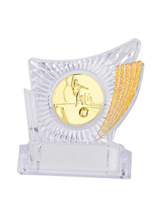 Trophée Personnalisé avec Médaillon - Réf FSP-133-51