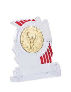 Trophée Personnalisé avec Médaillon - Réf FSP-133-53