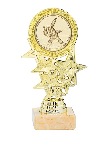 Trophée Personnalisé avec Médaillon - Réf FSP-134-03